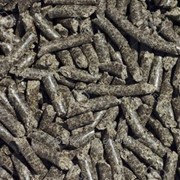 Шрот Рапсовый фото