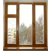 Окно экологическое фото