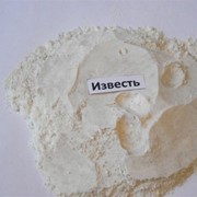 Известь гашеная(пушонка) фото