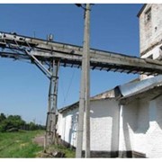 Отгрузка 1 тн зерна автотранспортом всех зерновых культур фото
