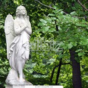 Страхование жизни фото
