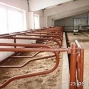 Оборудование для животноводства фото