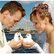 Проведение свадеб фото