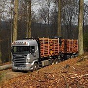Услуги Лесовозов ( Сортиментовозов ) до 52 кубов до 45 тонн.Работаем по всей Украине! фото