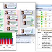 Внедрение информационной системы фото