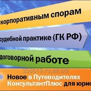 Консультант Плюс Бизнес фото