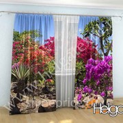 Тропические цветы арт.ТФА2403 (145х275-2шт) фотошторы (штора Сатен ТФА) фото