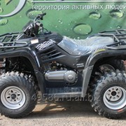 УТИЛИТАРНЫЙ КВАДРОЦИКЛ ARMADA ATV 200L (ДВУХМЕСТНЫЙ) фото