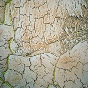 Нанесение штукатурки декоративной фото