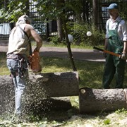 Корчевание фото