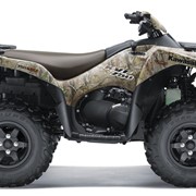 Квадроциклы Kawasaki / KVF750 4x4 - 2012 фото