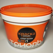 Акриловая фасадная вододисперсионная краска Триоль фото