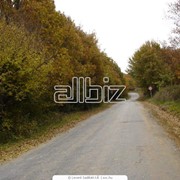 Эконом туры фото