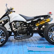 Квадроцикл SPY 250 фото