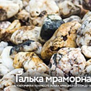 Галька мраморная фото
