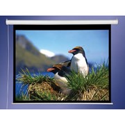 Проекционный экран Accuscreens 84 фото