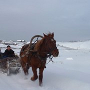 Конные туры фото