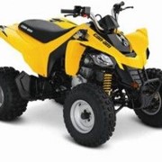 Kвадроцикл Сan-Am|BRP DS 250 Желтый фото