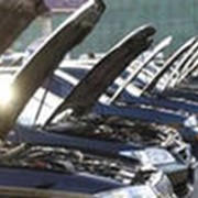 Техническое обслуживание спецтехники фото
