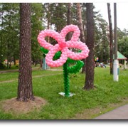 Организация детских праздников фото