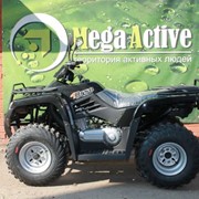 Утилитарный квадроцикл SAGITTA Orso ATV200-M (двухместный) фото