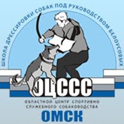 Гостиница для собак фото