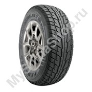 195/55 R15 89T XL, Federal Himalaya WS2 AD фото