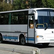 Аренда автобуса фото