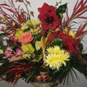 Композиции, букеты и корзины из живых цветов фото