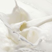 Лактоза оптом, низкие цены фото