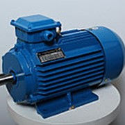 Электродвигатель АИР132S8 4/750 IM1081 фото
