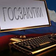 Участие в государственных закупках фото