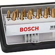 Набор Bosch Robust Line из 12+1 насадок-бит M Max Grip (2.607.002.577) фото
