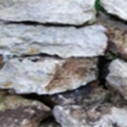 Известняк фото
