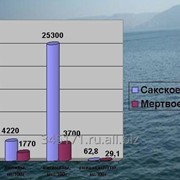 Тоник Фито-биоль на основе грязи Сакского озера для ухода за кожей и волосами фото