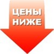 Торговля оптовая игрушками фото