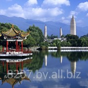 Виза в Китай туристическая однократная фото