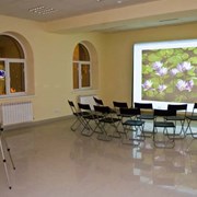 Аренда экрана на ножках 300х240 см. фото