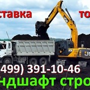 Грунт, грунты, торф, почтвогрунты, торфогрунты фото