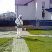 Дератизация фото
