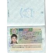 Оформление виз фото