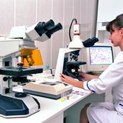 Получение санитарно-эпидемиологического заключения фото