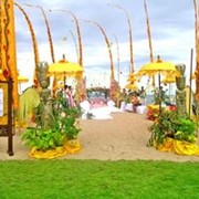 Экзотические туры фото