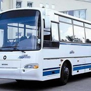 Автобус заказ паз-4230 фото