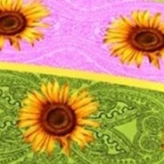 Ткань постельная Бязь 142 гр/м2 220 см Набивная Подсолнухи розовый 2276-2/S397 TDT фото