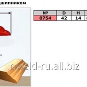 Код товара: 0754 (D42 H14) Фреза фигурная с подшипником (кромочная калевочная) фото