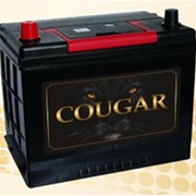 Аккумуляторная батарея COUGAR 45 Ач (MF55B24L, MF55B24LS) фото