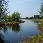 Удаление камыша и водорослей фото