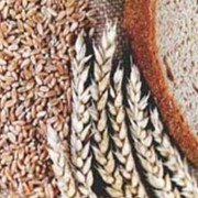 Сушка при влажности зерна до 19% включительно за каждый тонно-процент снятия влажности (овёс, рожь, ячмень) фото