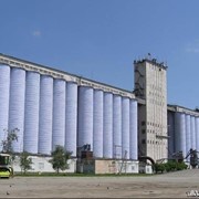 Элеватор продаётся фото